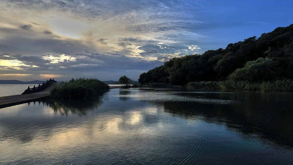 2022年最新网上兼职副业赚钱网站APP合集